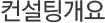 컨설팅개요
